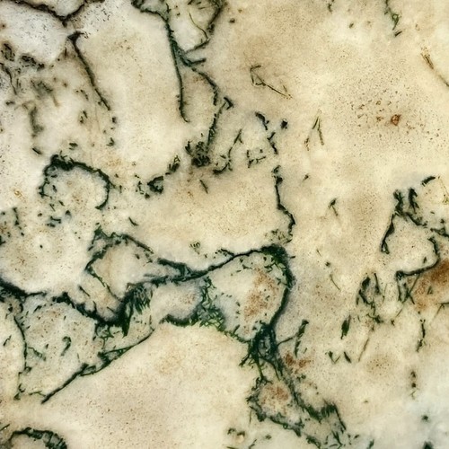 Large tree agate slab - slab, 3.66