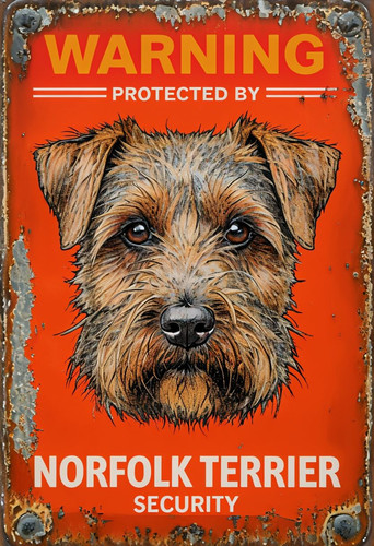 Warning norfolk terrier - norfolk,
