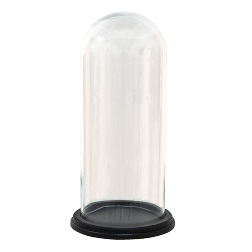 Glass display cloche - cloche, jar