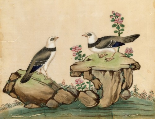 Chinese pith painting - painting, antique