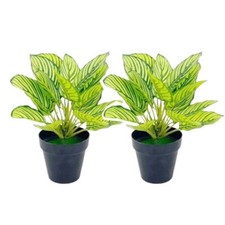 2 x Artificial Plant Peacock