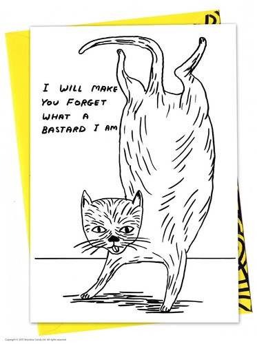 David shrigley birthday - david,