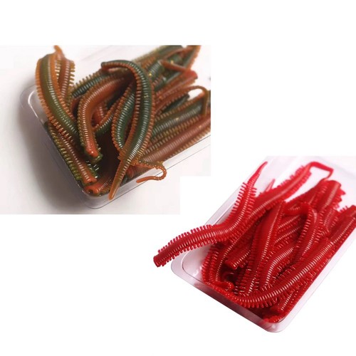 Sea fishing rag worm maddies - sea,