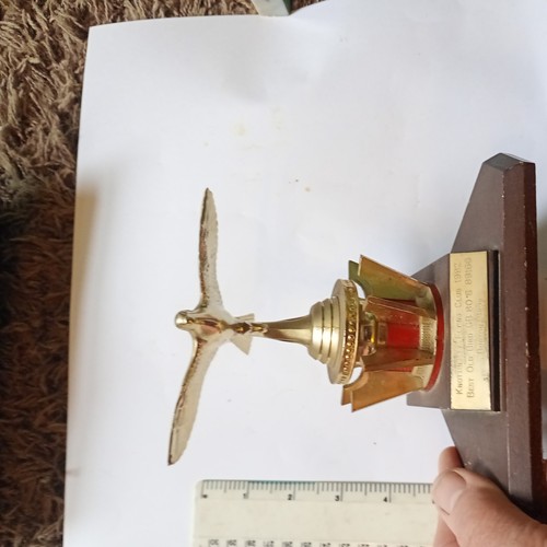 Pigeon racing trophy - racing,
