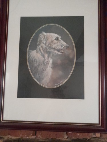 Deer hound picture framed - deer, or