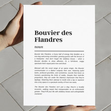 Bouvier des Flandres Dog Funny