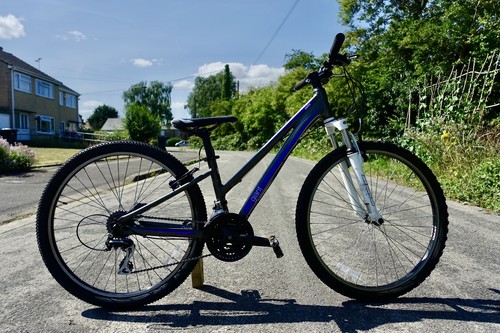 Giant girl mountain bike - giant,