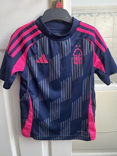 Nottingham forest replica - nottingham,