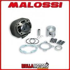 3113067 CYLINDER KIT MALOSSI