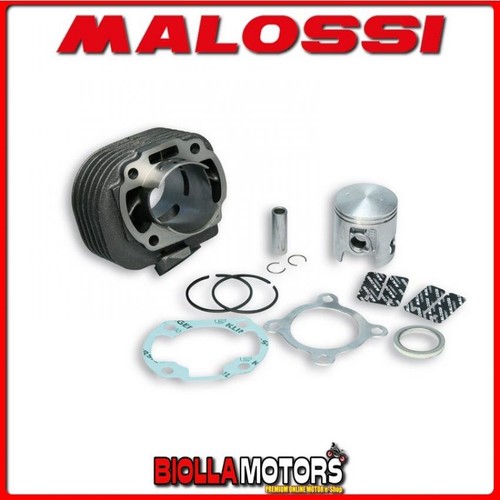 3113067 cylinder kit malossi - cylinder,