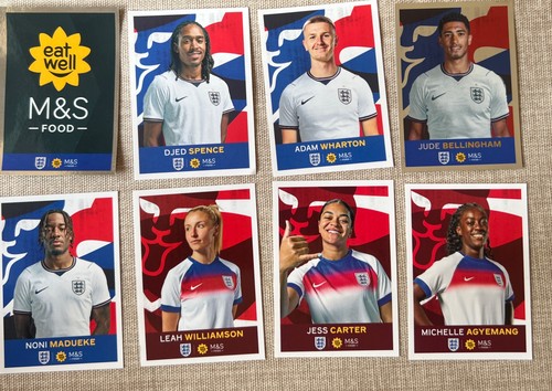 Panini england 2026 - m&s,