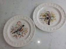 Royal Worcester Palissy