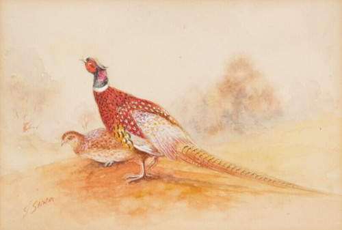 James stinton original - james,