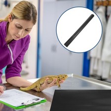  Bearded Dragon Substrate Tank