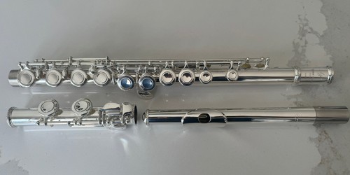 Fully serviced trevor - fully, james
