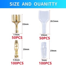 Male And Female Bullet