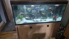Fluval Roma 240L 4 ft Aquarium