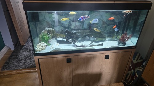 Fluval roma 240l aquarium - 240l, 4