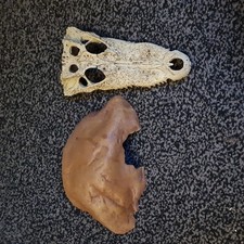 Exo Terra Reptile Cave Hide Snake Lizard Vivarium Terrarium Decoration 