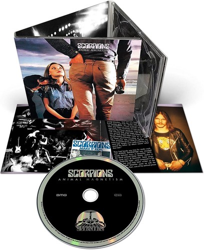 Track scorpions animal - 15,