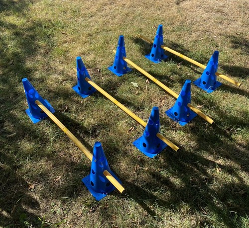 Cones bars dog agility - dog,