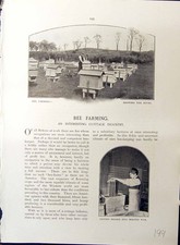 Old Britain Work C1910 Bee Farming Cottage Industry Molten Wax Smoker 20th