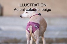 Heat Pants /Nappy /Diaper /