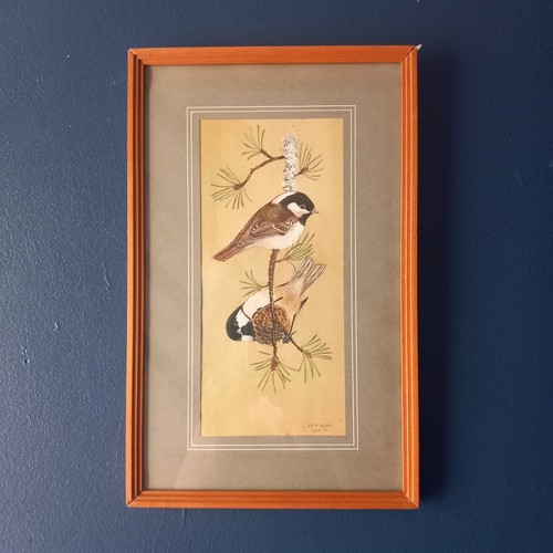 Ian mcintosh original bird - mcintosh:,