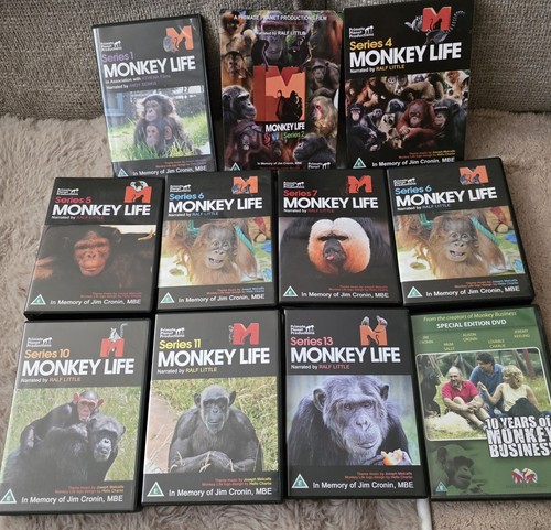 Monkey life world - /, alison