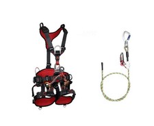 Arborist tree climbing harness - tree,