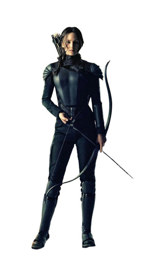Katniss everdeen vinyl - katniss,