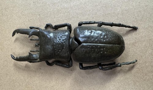 Bronze stag beetle signed - -,