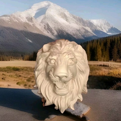 Beautiful large lion head - large, lion's