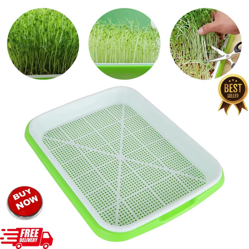 Microgreen sprouter tray - microgreen,