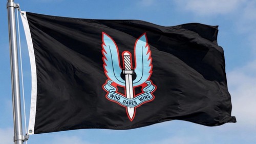 Sas special air - sas,