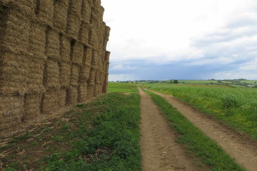 Photo 6x4 farm track - photo,