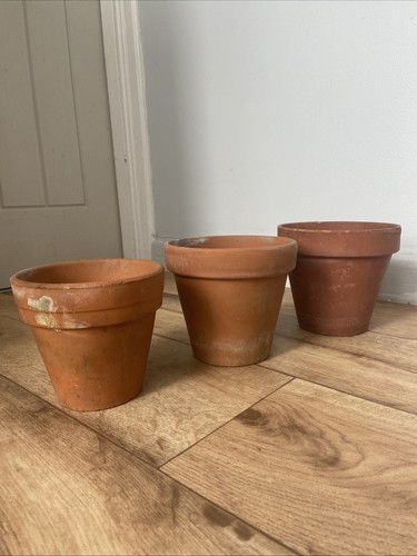Vintage terracotta plant - vintage,
