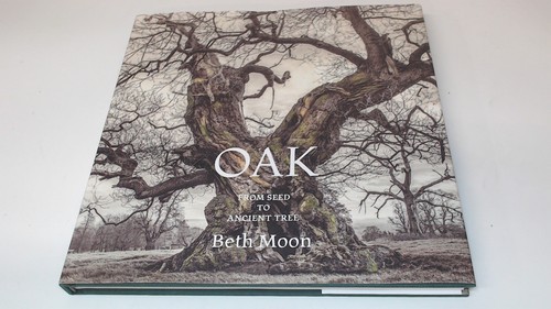 Oak from seed - oak:,