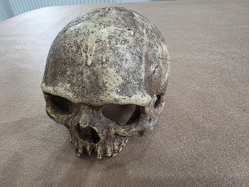 Plastic skull for aquarium - for,