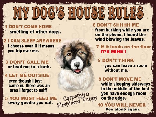 Dog house rules - dog's,