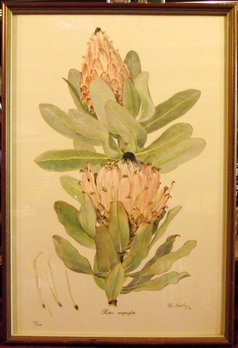 Signed lim print by - signed, elise