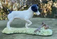 Border Fine Arts  Jack Russell