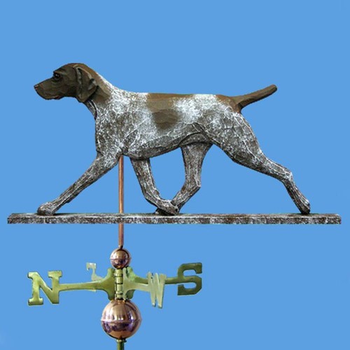 German shorthair pointer hand - german,