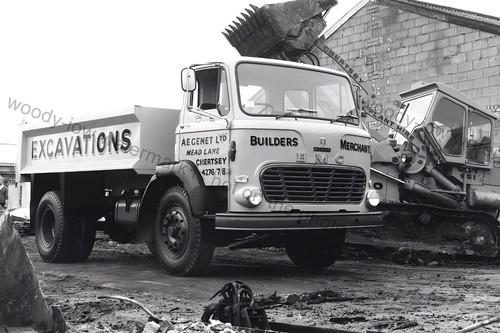 Cv274 genet builders - cv274, e