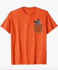 Brand new Burmese cat in