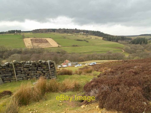 Photo 6x4 isolated property - photo, an