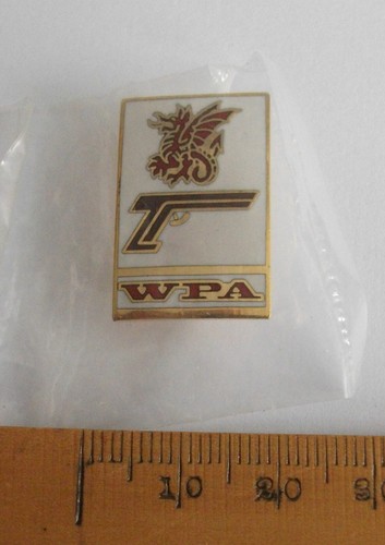 Shooting pin badge - , welsh