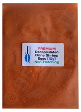 Decapsulated brine shrimp eggs - decapsulated,