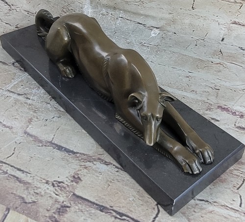 Greyhound whippet saluki dog - greyhound,