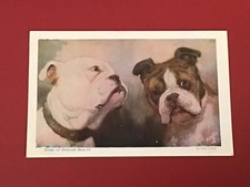 EARLY 1900s DOG THEMED PC - TWO BULLDOGS - TYPES OF ENGLISH BEAUTIES